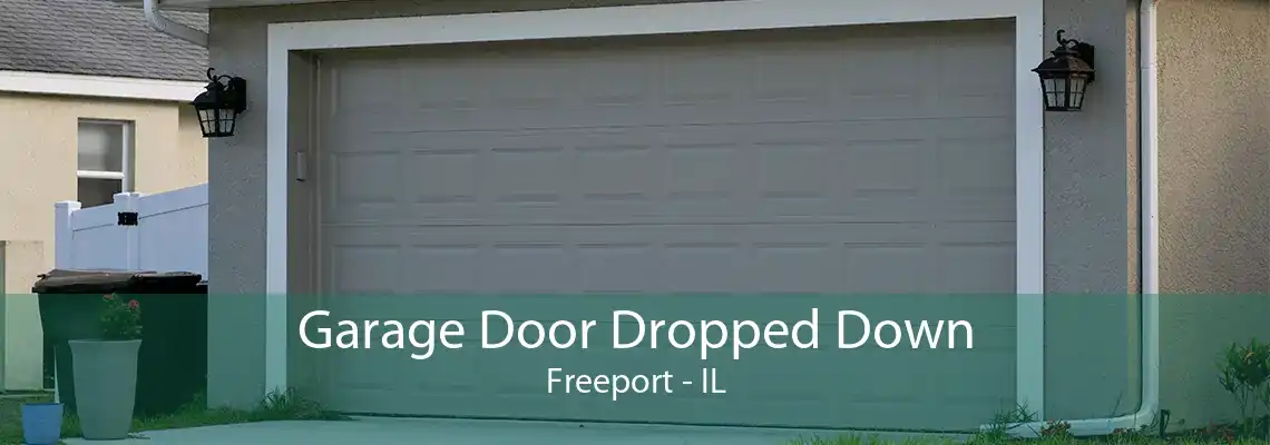 Garage Door Dropped Down Freeport - IL