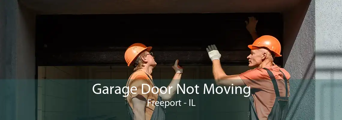 Garage Door Not Moving Freeport - IL