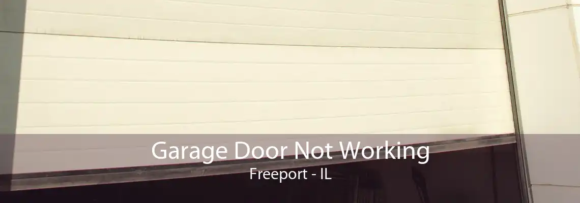 Garage Door Not Working Freeport - IL