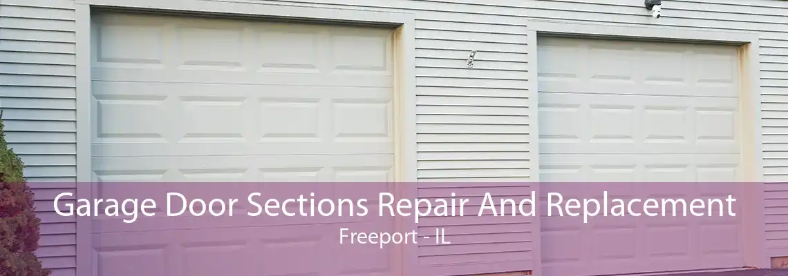 Garage Door Sections Repair And Replacement Freeport - IL