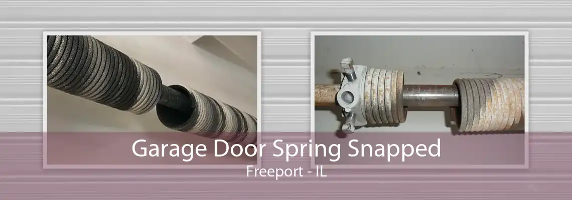 Garage Door Spring Snapped Freeport - IL