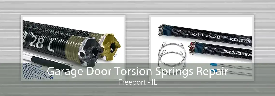 Garage Door Torsion Springs Repair Freeport - IL