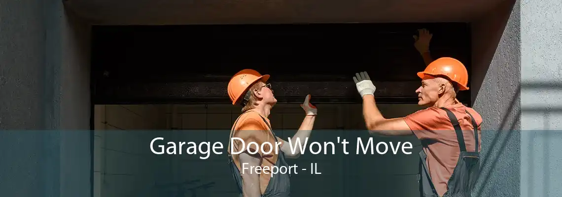 Garage Door Won't Move Freeport - IL