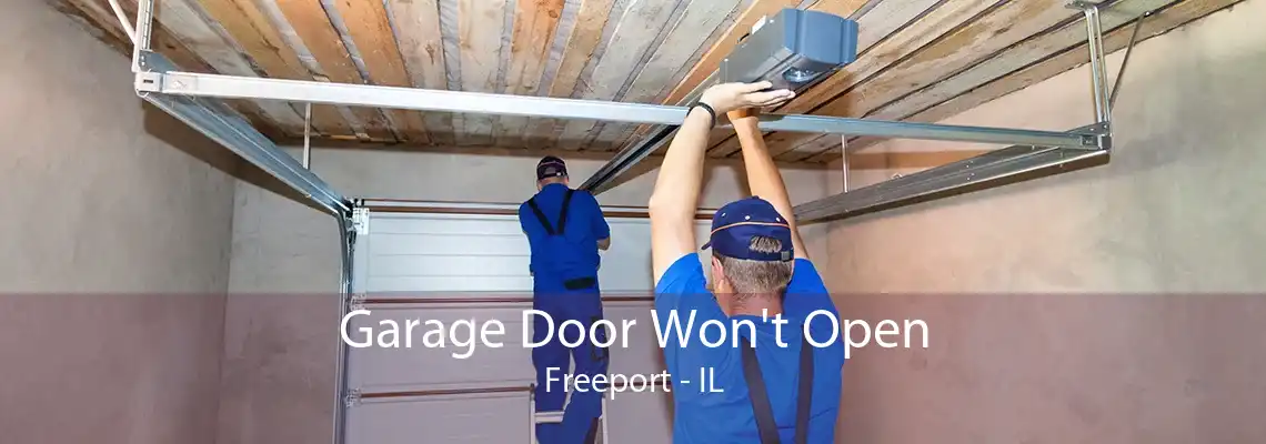 Garage Door Won't Open Freeport - IL