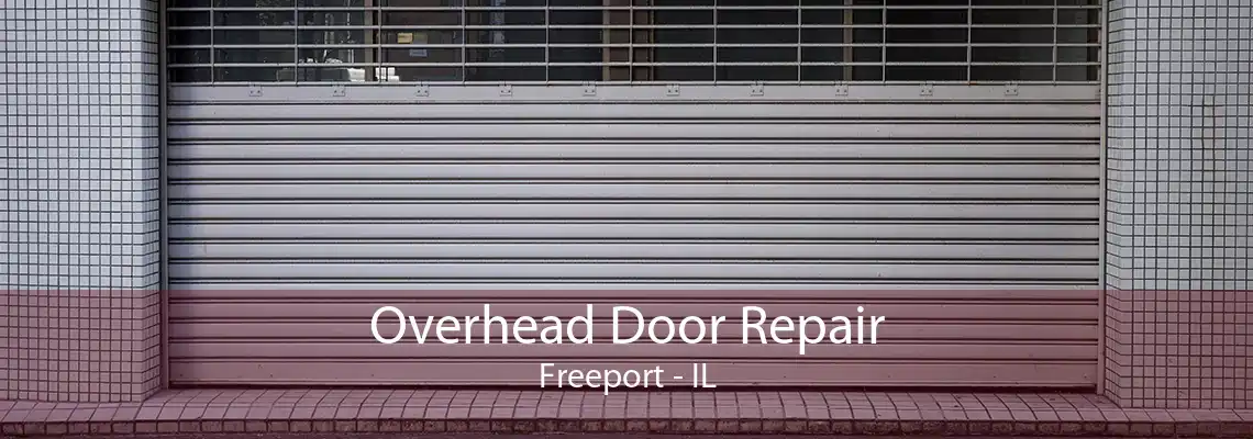 Overhead Door Repair Freeport - IL